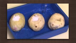 Potato experiment  Osmosis  Biology [upl. by Tracay]