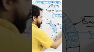 Cloning Vector biologyviralshorts biology neet [upl. by Asseralc334]