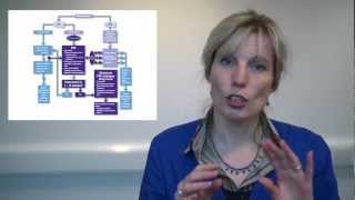 Cat cystitis diagnosis explained by a vet specialistmov [upl. by Anig]