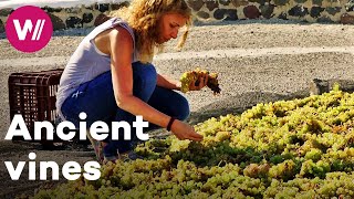 Greece  Viticulture methods inherited from antiquity  Worldwide Wine Civilizations [upl. by Aharon21]