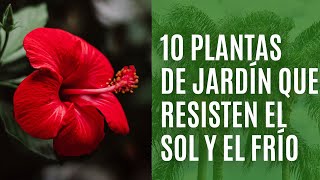 10 PLANTAS de jardín que resisten el CALOR y el FRÍO [upl. by Cyprian674]