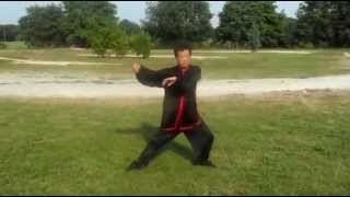 Hunyuan Taijiquan 24  Wang Fengming [upl. by Neelahs36]