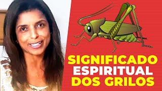 Significado espiritual dos Grilos com a Vidente Vandinha Lopes [upl. by Rebekah]