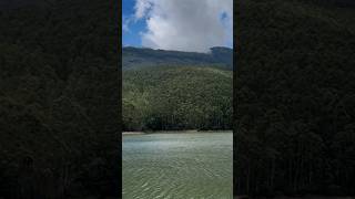 Dam Munnar Kerala hillstation viralvideo trending shorts travel nature viralshorts [upl. by Annam]