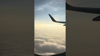 Fly in the Sky 🌌 flytravel clouds trending shortvideo youtube viralvideo shorts sky like [upl. by Tewell]