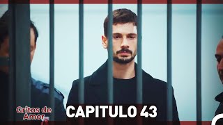 Gritos de Amor Capitulo 43 Doblaje En Español [upl. by Retluoc]