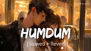 Humdum Slowed  Reverb  Vishal Mishra  Harshvardhan Rane Divya K  Savi  Anshul3zx [upl. by Agostino380]