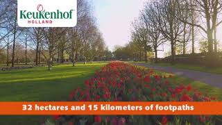 Keukenhof 2019 English [upl. by Hahsia]