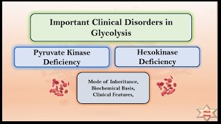 Clinical Disorders Of Glycolysis [upl. by Nerrag]