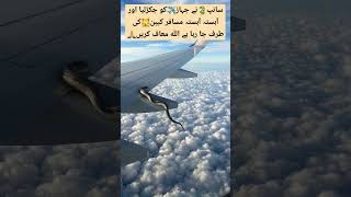 Flying snack on commercial airliner wing shortvideo aviation pafpilots americanpresident [upl. by Dinny]