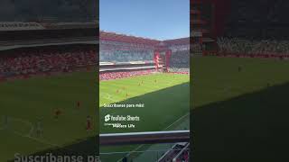 ¿Qué tal la vista desde los palcos del Nemesio Diez 🤩 tolucafc diablosrojos nemesiodiez toluca [upl. by Elmer]