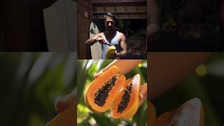 Boost Your Health with This Papaya Dinner Recipe [upl. by Chow]