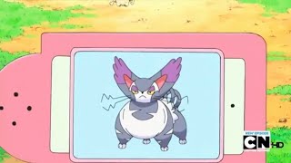 Purugly Pokédex Entrywmv [upl. by Nart]