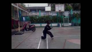 Pencak Silat Bina Saluyu  Tepak Paleredanwmv [upl. by Tedda]