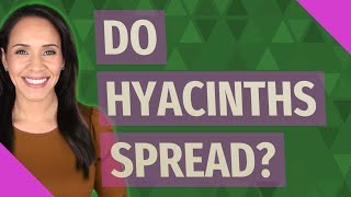 Do hyacinths spread [upl. by Alexa802]