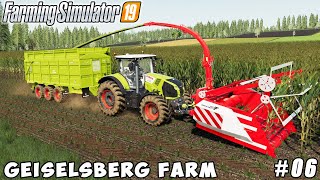 Harvesting corn silage plowing  Geiselsberg Farm  Farming simulator 19  Timelapse 06 [upl. by Loree738]