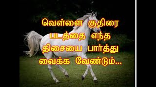 vellai kuthirai padathai entha thisaiyai parthu vaikka vendum  white horse direction Anmega tips [upl. by Nodnalb444]