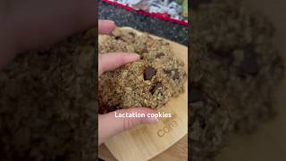 Fast and easy lactation cookies Full recipe on my channel lactancia lactation lactationsupport [upl. by Surtimed]