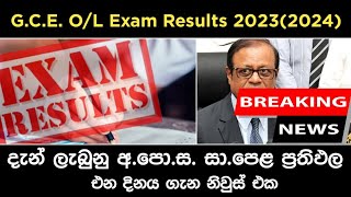 ol results release date  2023 ol results out date  ol results 20232024 [upl. by Nivlac4]