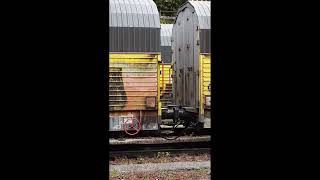 Coloured trains on the Brennerpass [upl. by Bhatt849]