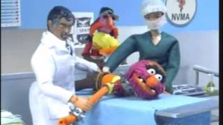 Robot Chicken quotBehind the Music  The Muppetsquot [upl. by Ciccia]