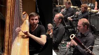 Mark Andre  quothinquot for harp and chamber orchestra 2018 [upl. by Mccormick]