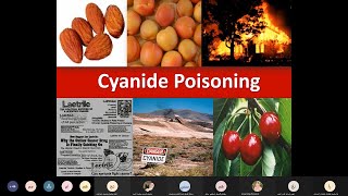 Cyanide poisoning section [upl. by Nitsyrk]