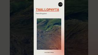 Division Thallophyta Class 11 Biology shorts biology [upl. by Azeel991]