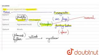 Asci are not organised into ascocarps in  12  BIOLOGICAL CLASSIFICATION  BIOLOGY  AAKASH IN [upl. by Carolina]