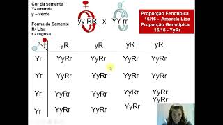 Genética Mendeliana  Cruzamento Diíbrido  Parte 1 [upl. by Devonna732]