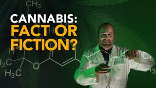 Is cannabis addictive Your questions answered [upl. by Aliuqehs]