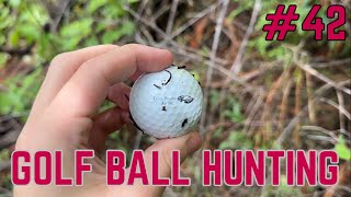 Golf Ball Hunting Episode 42 [upl. by Yelkao]