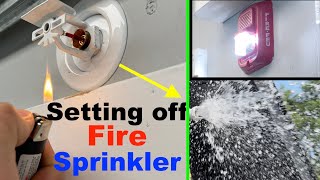 Setting Off Sidewall Fire Sprinkler Head  Testing Garage Sprinkler System Set Off Fire Alarm [upl. by Aisya]