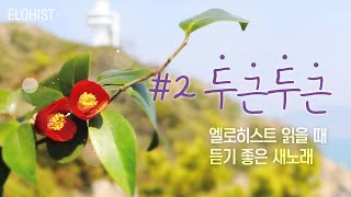 엘로히스트 읽을 때 듣기 좋은 새노래 2 [upl. by Antony]