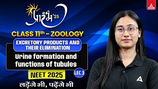 EXCRETORY PRODUCT AND THEIR ELIMINATION CLASS11NEET2025 URINE FORMATIONamp FUNCTIONS OF TUBULESL3 [upl. by Anirehc921]