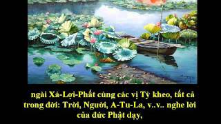 Tụng Kinh Phật A Di Đà Nghĩa  Thích Trí Thoát tụng [upl. by Leander]