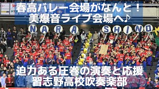 春高バレー会場を習志野高校吹奏楽部の美爆音ライブ会場に変えてしまった！迫力ある圧巻の演奏と応援（モンキーターンやレッツゴー習志野も） [upl. by Acired]