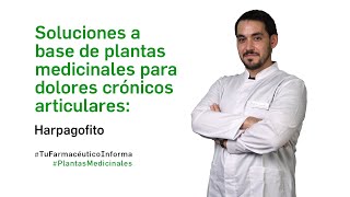 Soluciones a base de plantas medicinales dolor crónico articular Harpagofito  PlantasMedicinales [upl. by Otrebogad118]