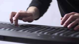 Introducing the Seaboard [upl. by Bendicty]