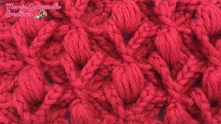 TEJIDOS A CROCHET Puff en Relieve HOW TO CROCHET Puff 3D [upl. by Omolhs]