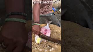 KASIMEDU FISH MARKET FISH CUTTING kasimedufish [upl. by Johnette254]