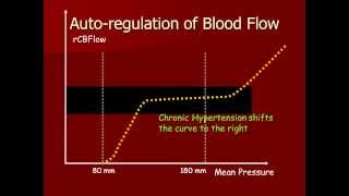 Autoregulation of Cerebral Blood [upl. by Yerok992]