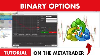 How to trade Binary Options on the MetaTrader MT4MT5  Tutorial [upl. by Kurtz628]