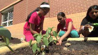 BBampT Volunteers at Dogwood ES FCPS [upl. by Timmons]