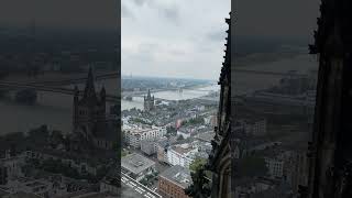 The insane view from Cologne Cathedral 🇩🇪 travel europe shorts [upl. by Hanshaw]