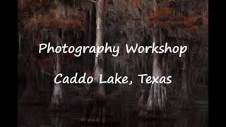 Caddo Lake Workshop Video [upl. by Clift]