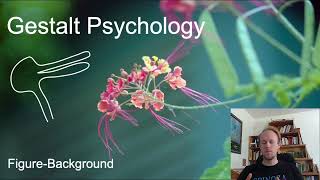 MerleauPonty Phenomenology of Nature Key Concepts part 6 gestalt psychology [upl. by Obediah589]