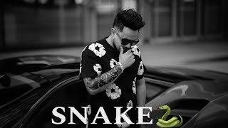 Snake  Cheema Y Official Video [upl. by Ney813]