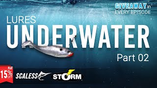 Discover the Best Underwater Lure Action with Opensea Fishing Tackles EP 02 [upl. by Bullock]