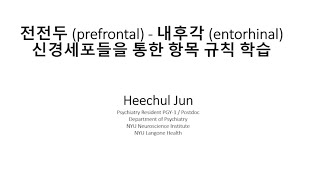 전전두 prefrontal  내후각 entorhinal 신경세포들을 통한 항목 규칙 학습 [upl. by Powell692]